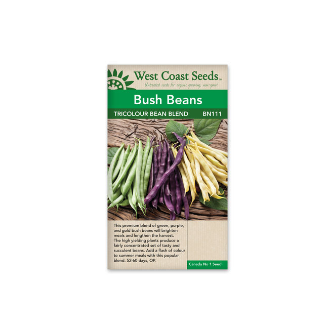 Bush Bean - Tricolor Bean Blend