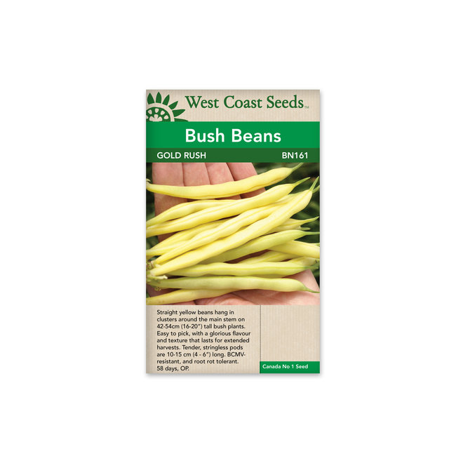 Bush Beans - Gold Rush