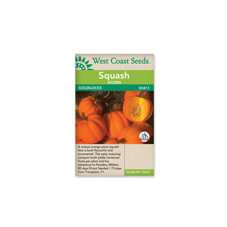 Squash - Goldilocks