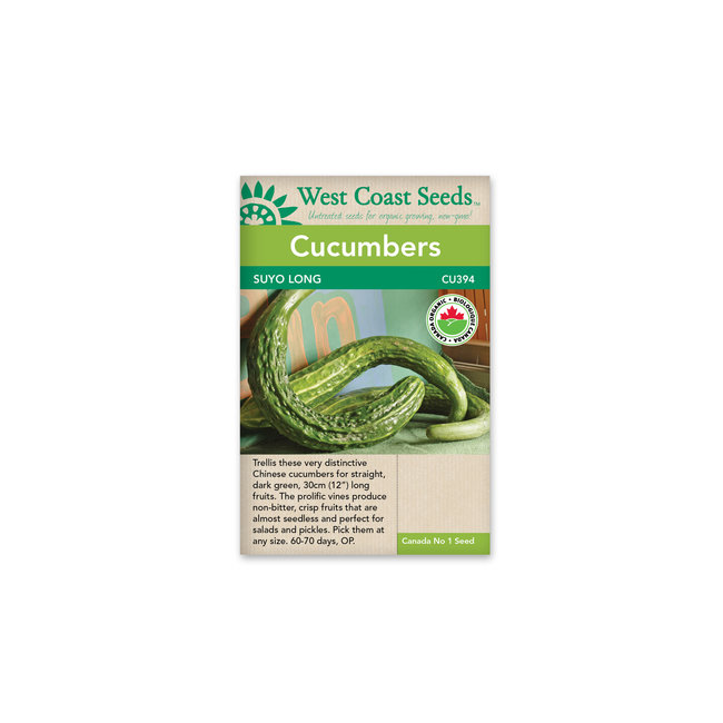 Cucumber - Suyo Long Certified Organic