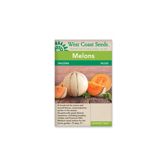 Melon - Halona F1