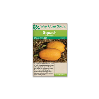 Spaghetti Squash - Small Wonder F1