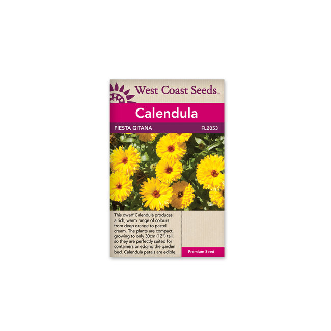 Calendula - Fiesta Gitana