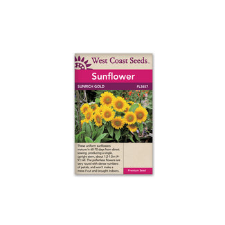 Sunflower - Sunrich Gold