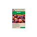 Beets - Beet Blend