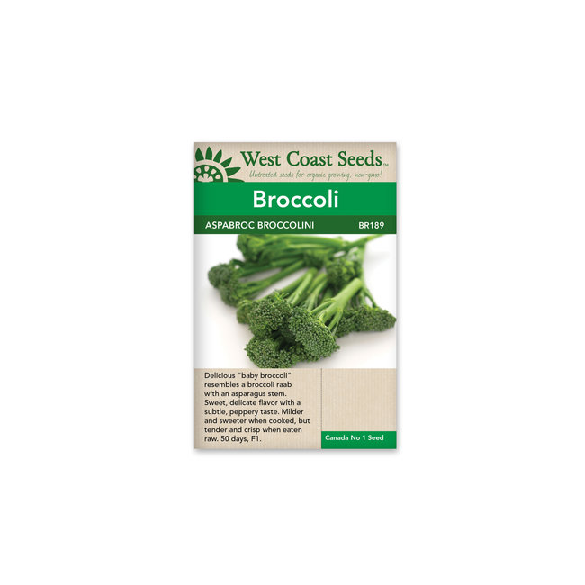 Broccoli - Aspabroc Brocolini