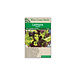 Lettuce - City Garden Blend