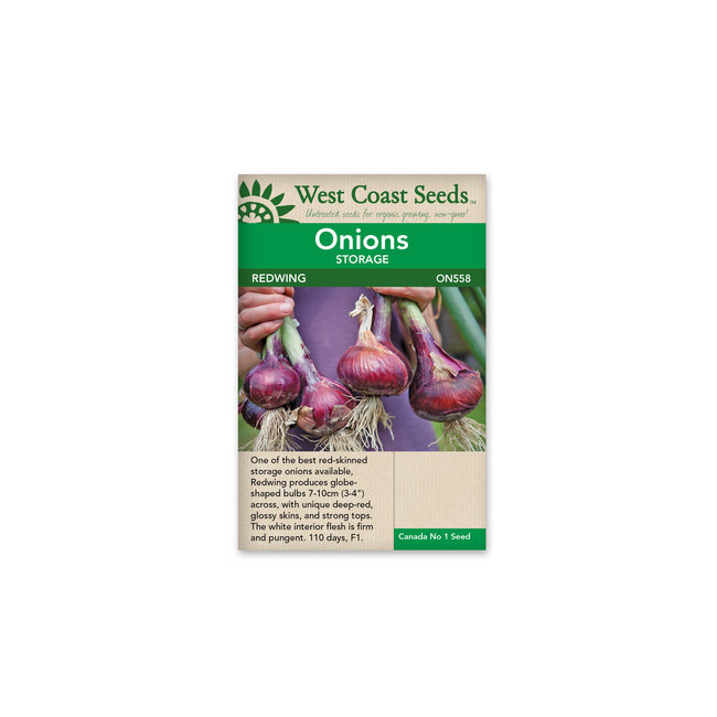 Onions - Redwing F1