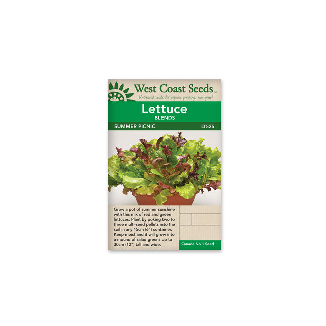 Lettuce - Summer Picnic