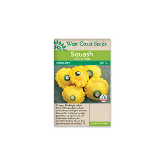 Summer Squash - Sunburst F1