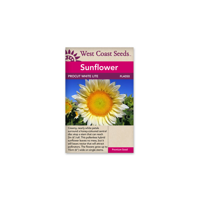 Sunflowers - Procut White Lite F1