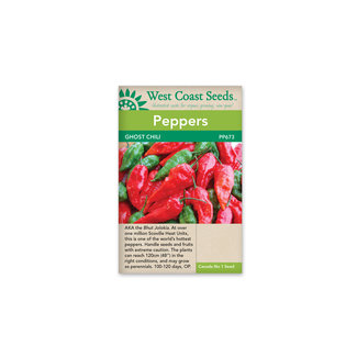Peppers - Ghost Chili