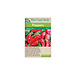 Peppers - Ghost Chili