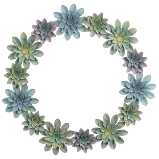 Succulent Wreath Décor