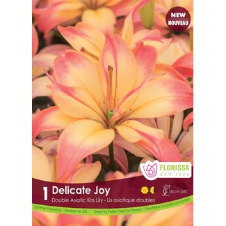 Lily - Delicate Joy