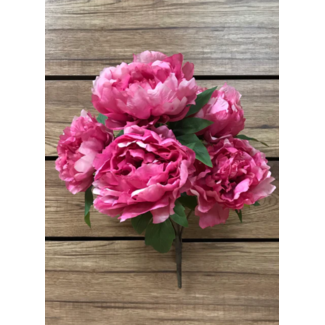 18" Rose Peony Bush