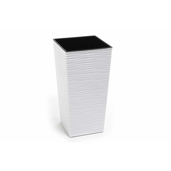 Finezja Pot
