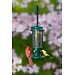 Squirrel Buster Standard Feeder