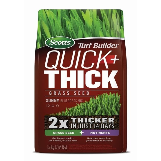 Scotts Turf Builder Quick+Thick Grass Seed Sunny Bluegrass 1.2kg