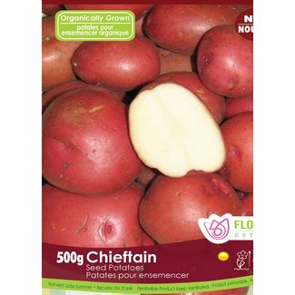 Potatoes - Chieftain