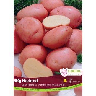 Potatoes - Norland