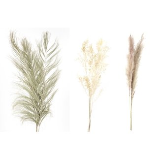 Palm Twizzle, Ruscus, & Pampas Mixed Bundle