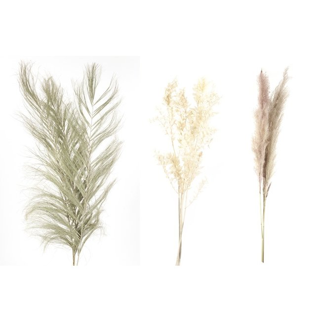 Palm Twizzle, Ruscus, & Pampas Mixed Bundle