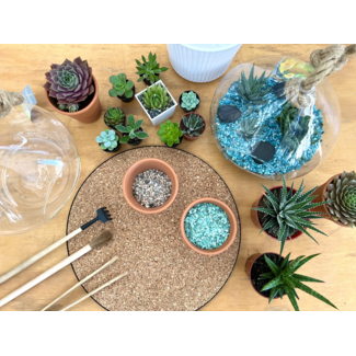 Pick Your Plants, Pick a Terrarium, Succulent Workshop