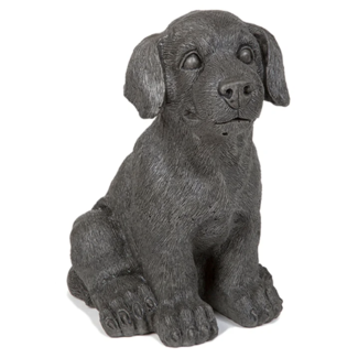 Small Dog - Black