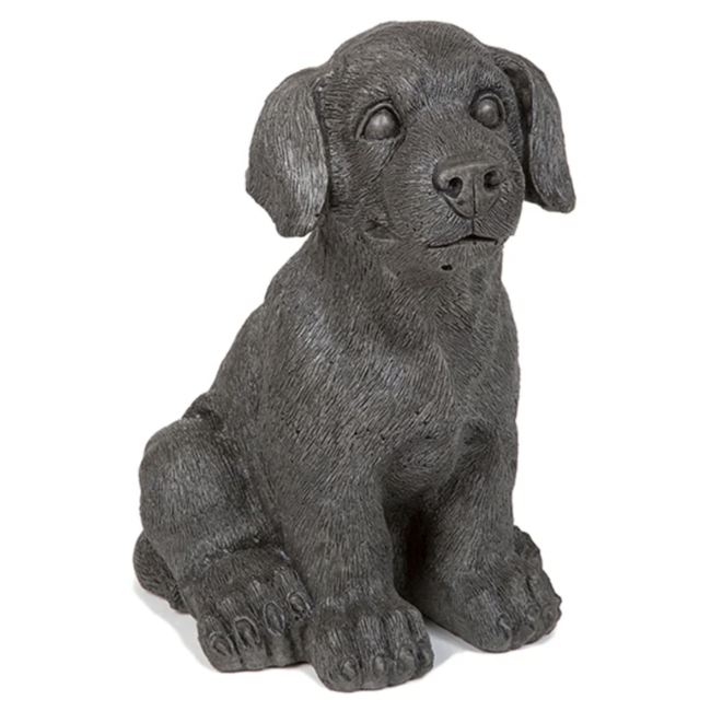 Small Dog - Black