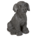 Small Dog - Black