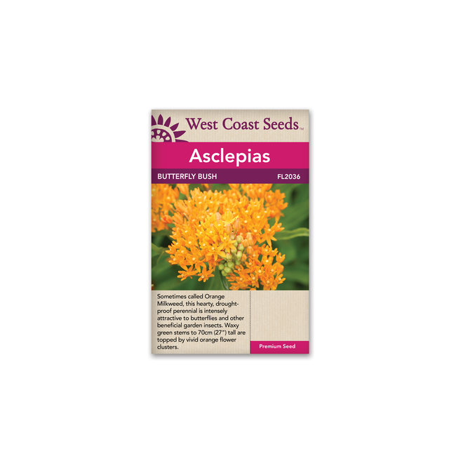 Asclepias - Butterfly Bush