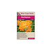 Asclepias - Butterfly Bush