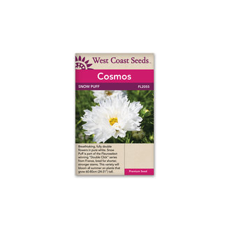 Cosmos - Snow Puff