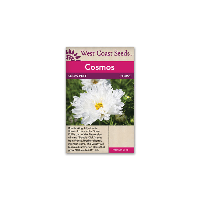 Cosmos - Snow Puff