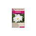Cosmos - Snow Puff