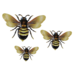 Metal Bee Wall Art