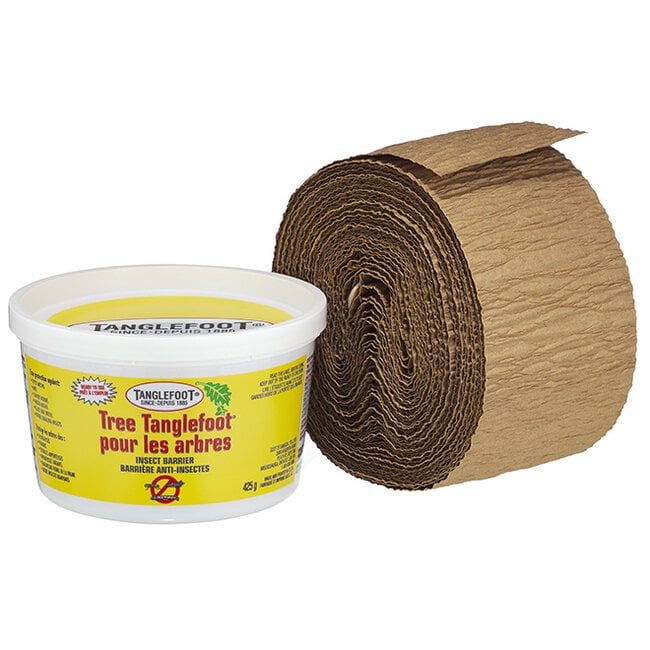 Tanglefoot Tree Care Kit