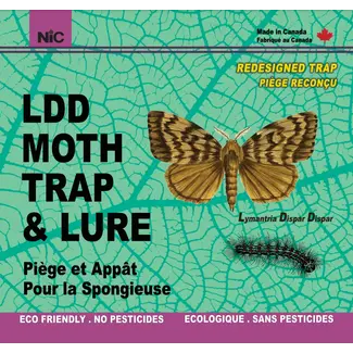 Gypsy Moth Trap & Lure