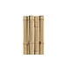 Bamboo Stakes 48”