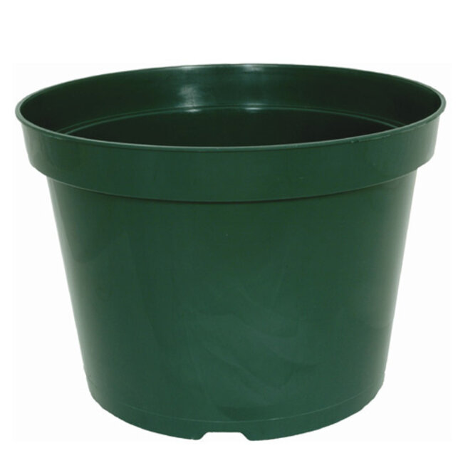 4" Round Green Pot