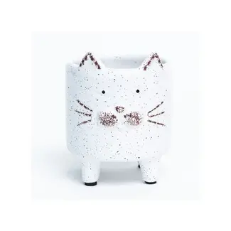 3" Footed White Dolomite Cat Pot