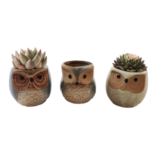2.5" Porcelain Owl Pot