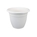 Plastic Pot