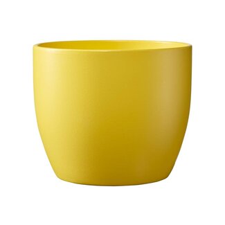 3" Matte Yellow Basel Pot