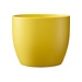 3" Matte Yellow Basel Pot