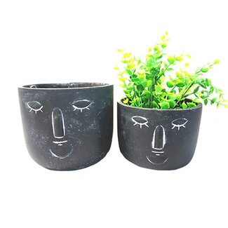 5" Face Planter Assorted