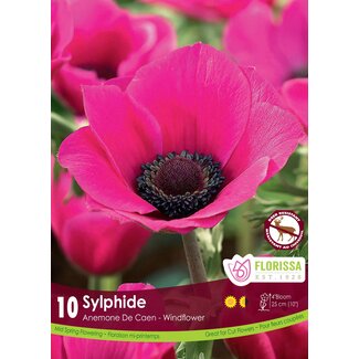 Anemone - De Caen Sylphide