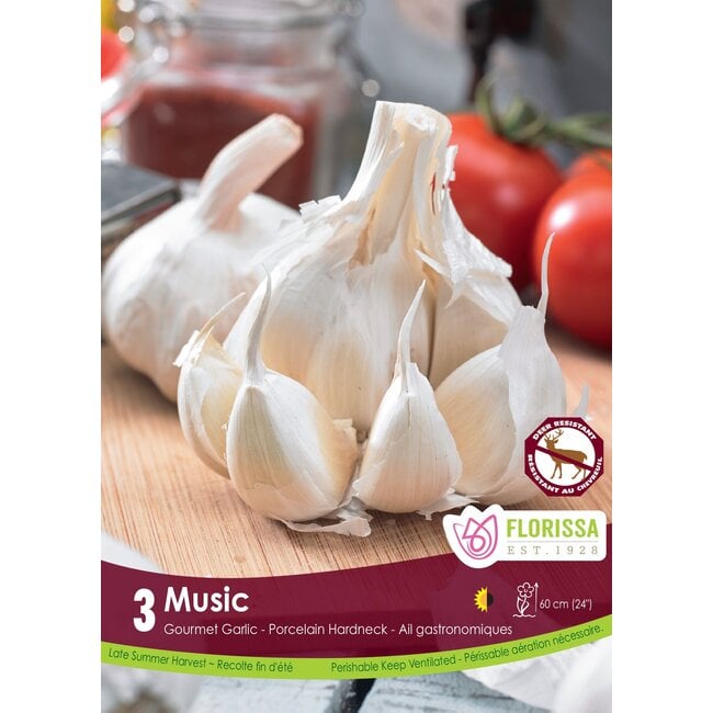 Garlic - Music
