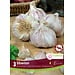 Garlic - Siberian